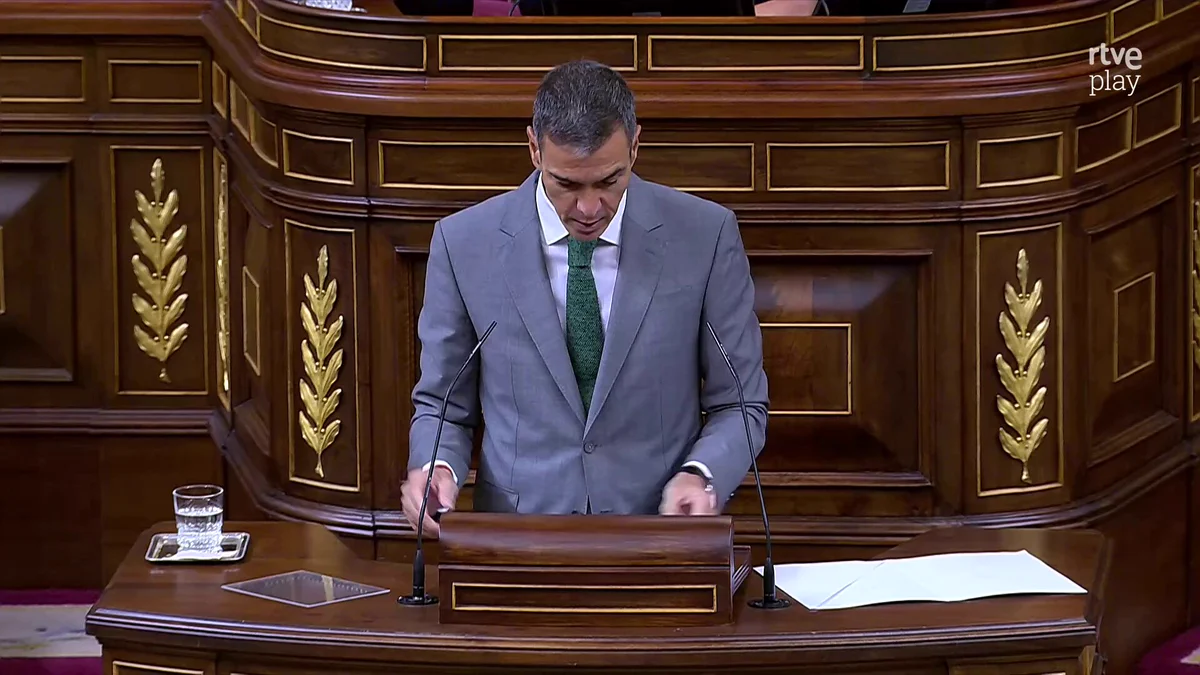 Fotografía oficial de la comparecencia del 3-S en el Congreso